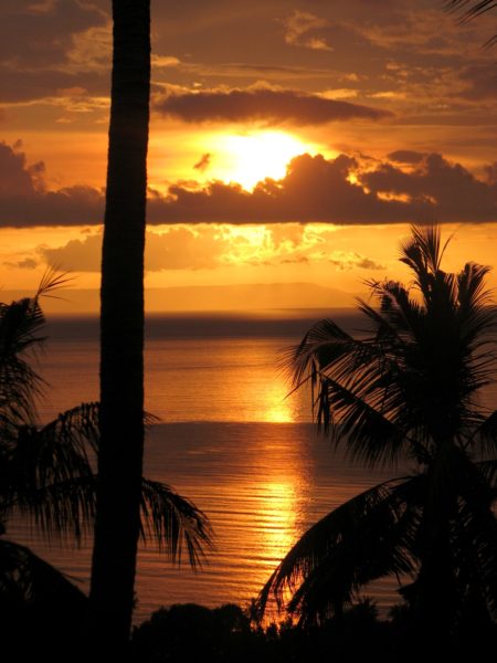 Oceanview Plots: Jalan Rimbun