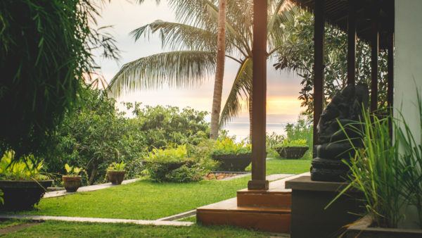 A Lombok garden