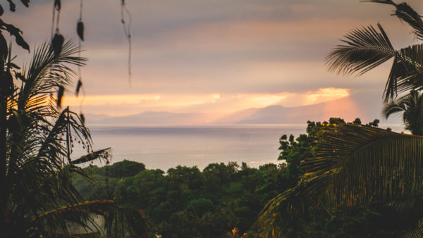 view from the studio