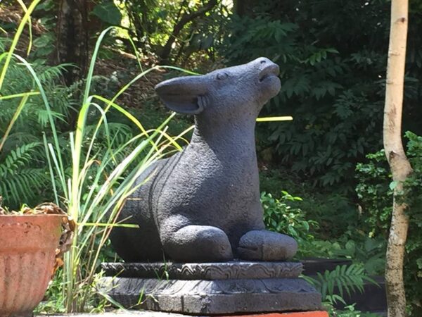 Valley Plots: Jalan Teduh