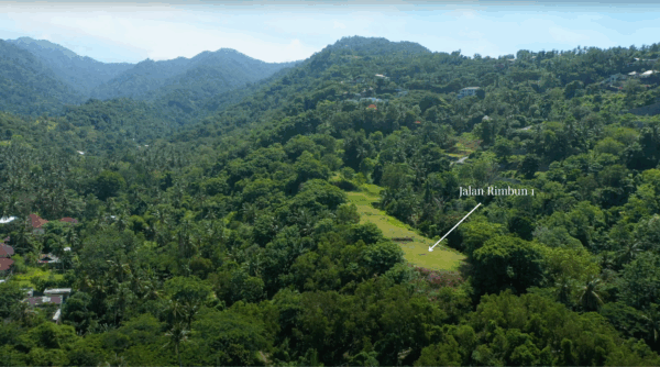 Jalan Rimbun 1