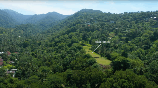 Jalan Rimbun 3