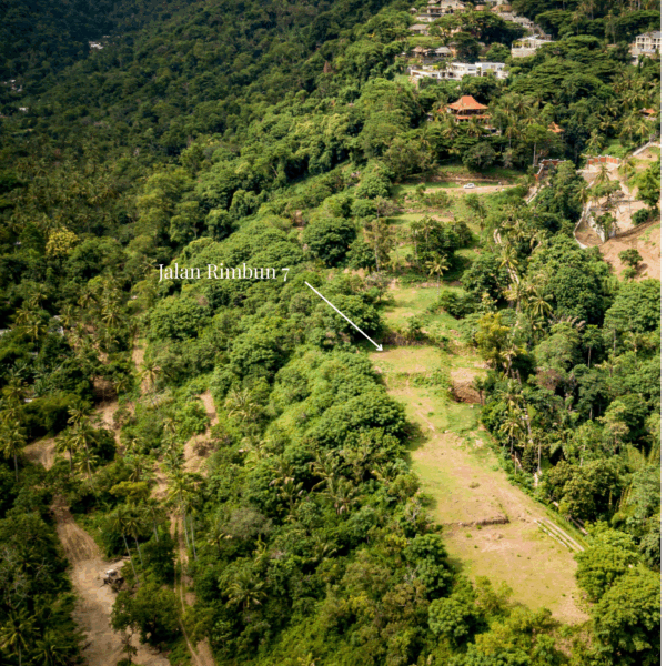 Jalan Rimbun 7